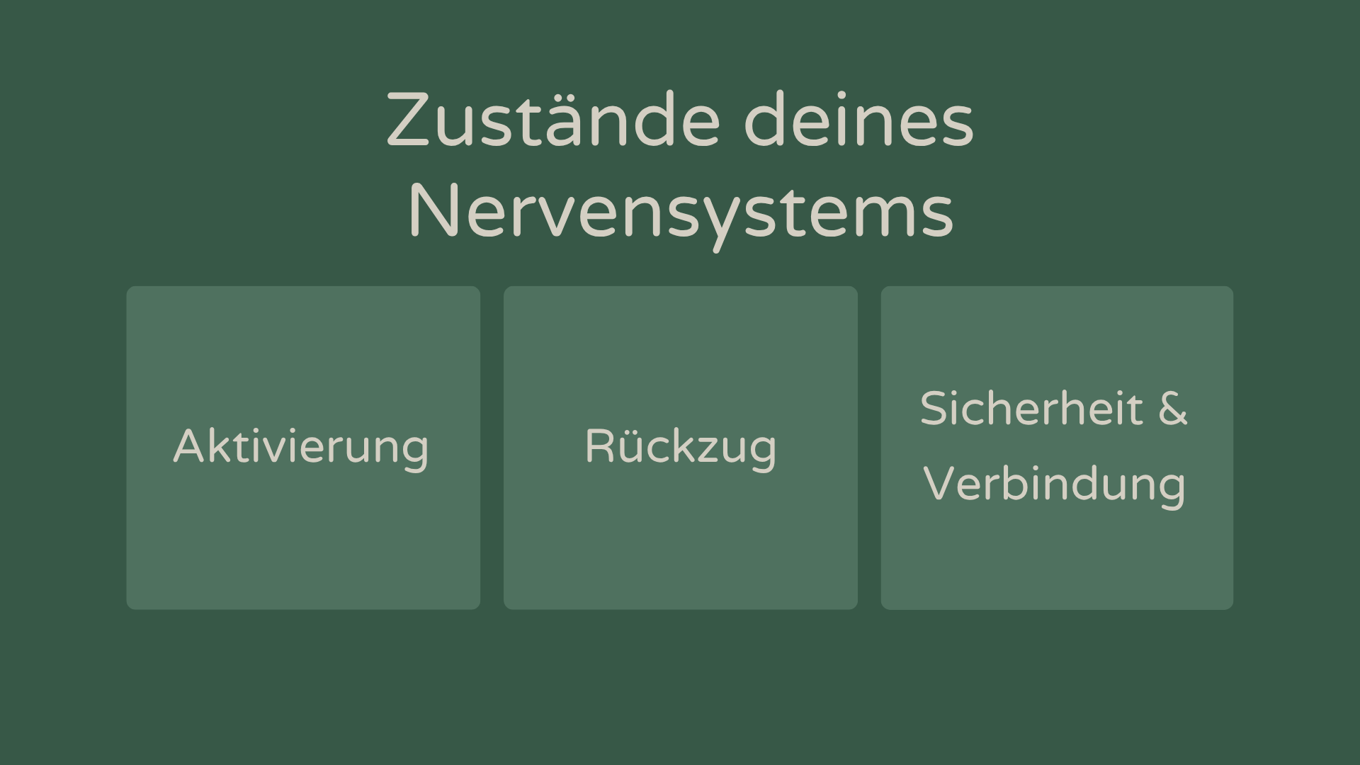 Warum dein Körper entscheidet, ob du dich entspannen kannst – die Polyvagal-Theorie einfach erklärt