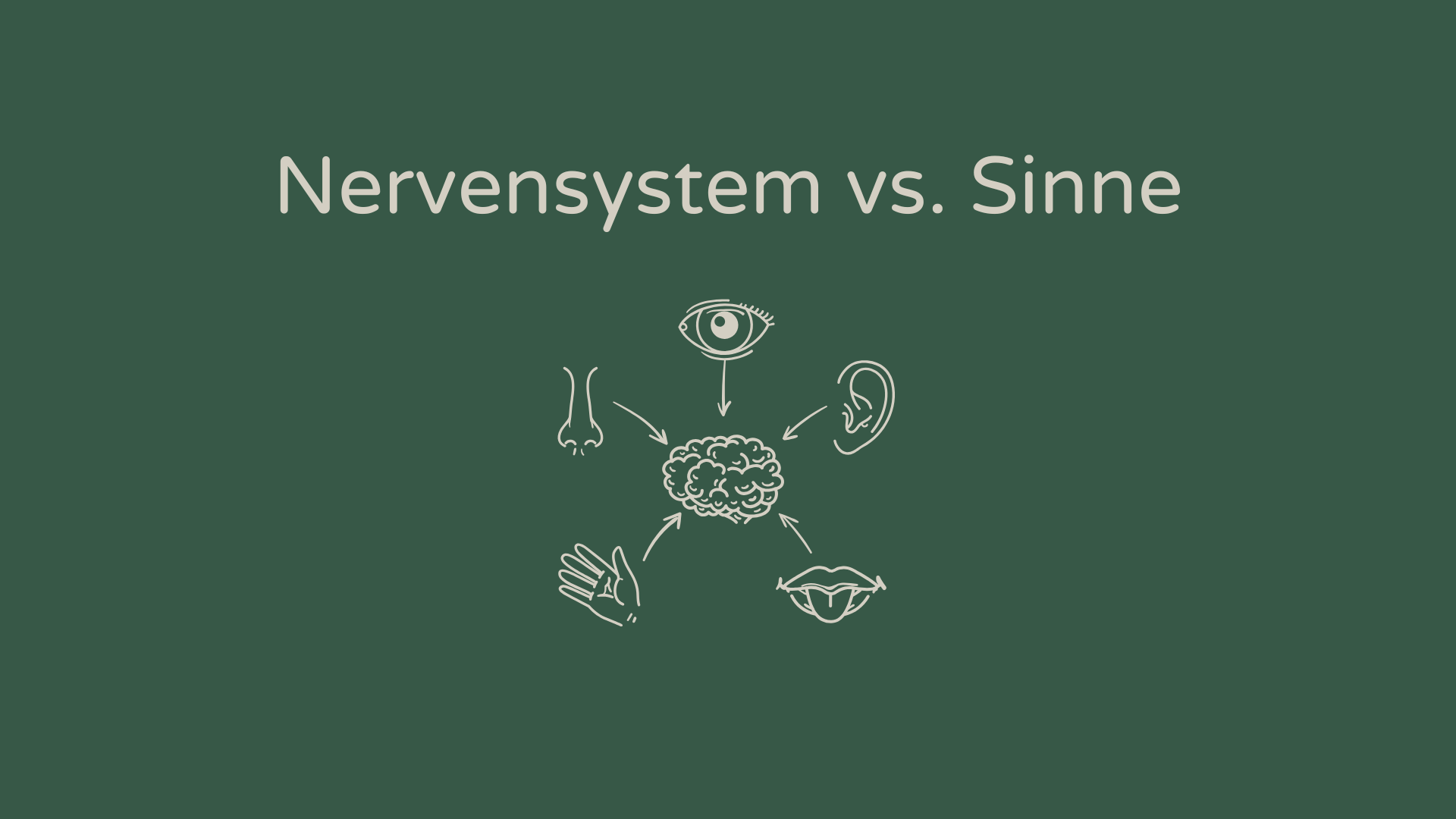 Wie deine Sinne dein Nervensystem beruhigen können